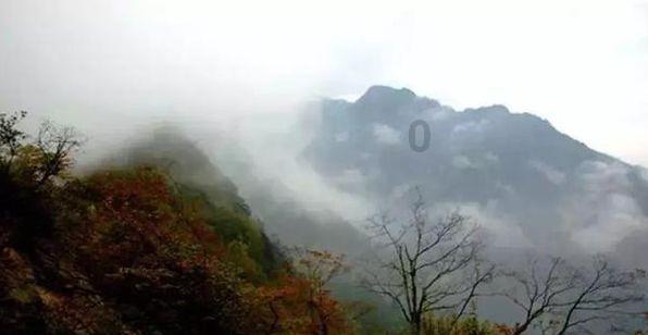 扬科维奇：调整首发是出于体能考虑，下半场让体能充足球员上场
